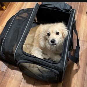COPY - Good2Go expandable pet carrier